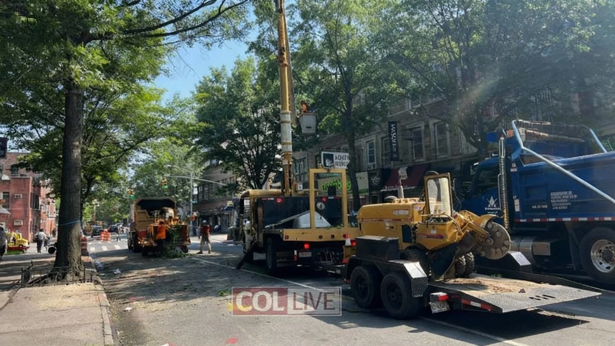 Crown Heights Road Work Begins This Week