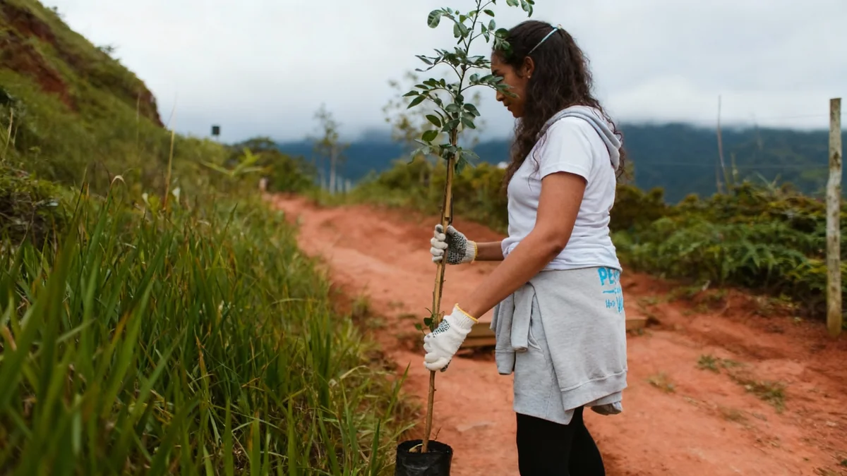 Volunteer Travel Boom: Risks and Rewards Explored