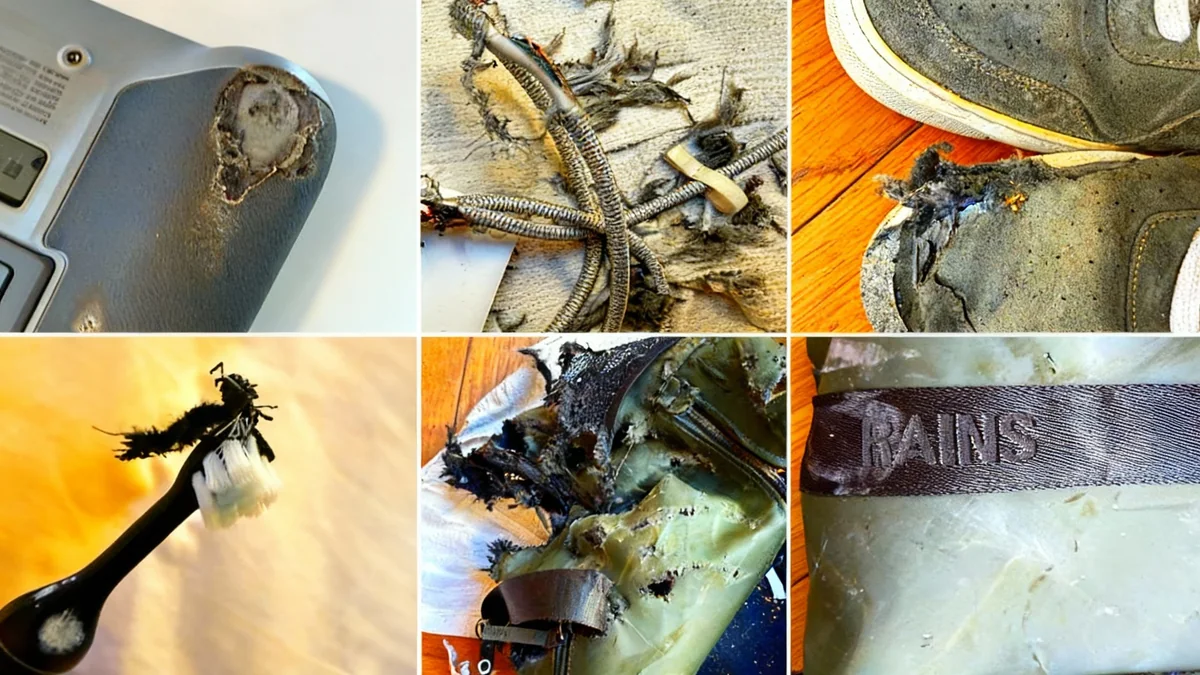 Traveler's Luggage Destroyed on Ryanair Flight