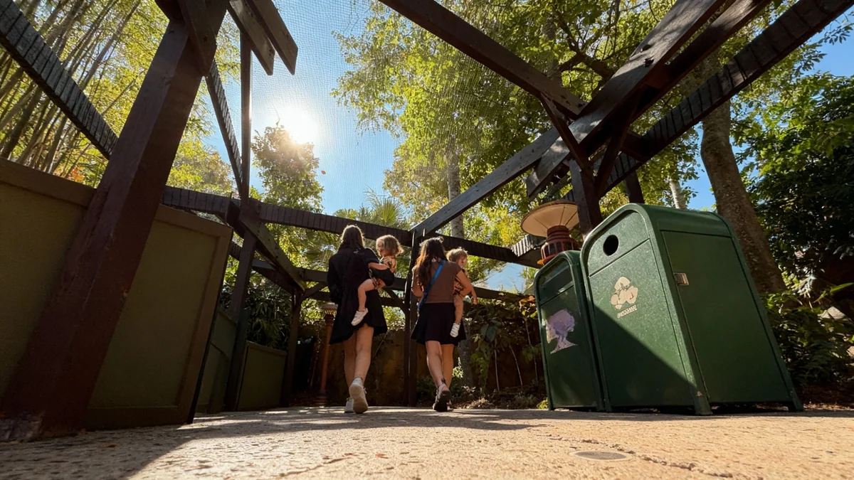 Nets Installed Over Zootopia Show Queue at Animal Kingdom