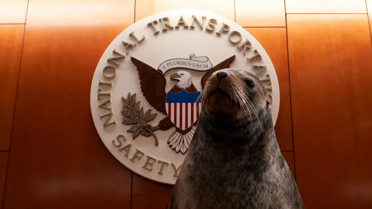 NTSB Investigates Southwest Jet and Helicopter Near Miss